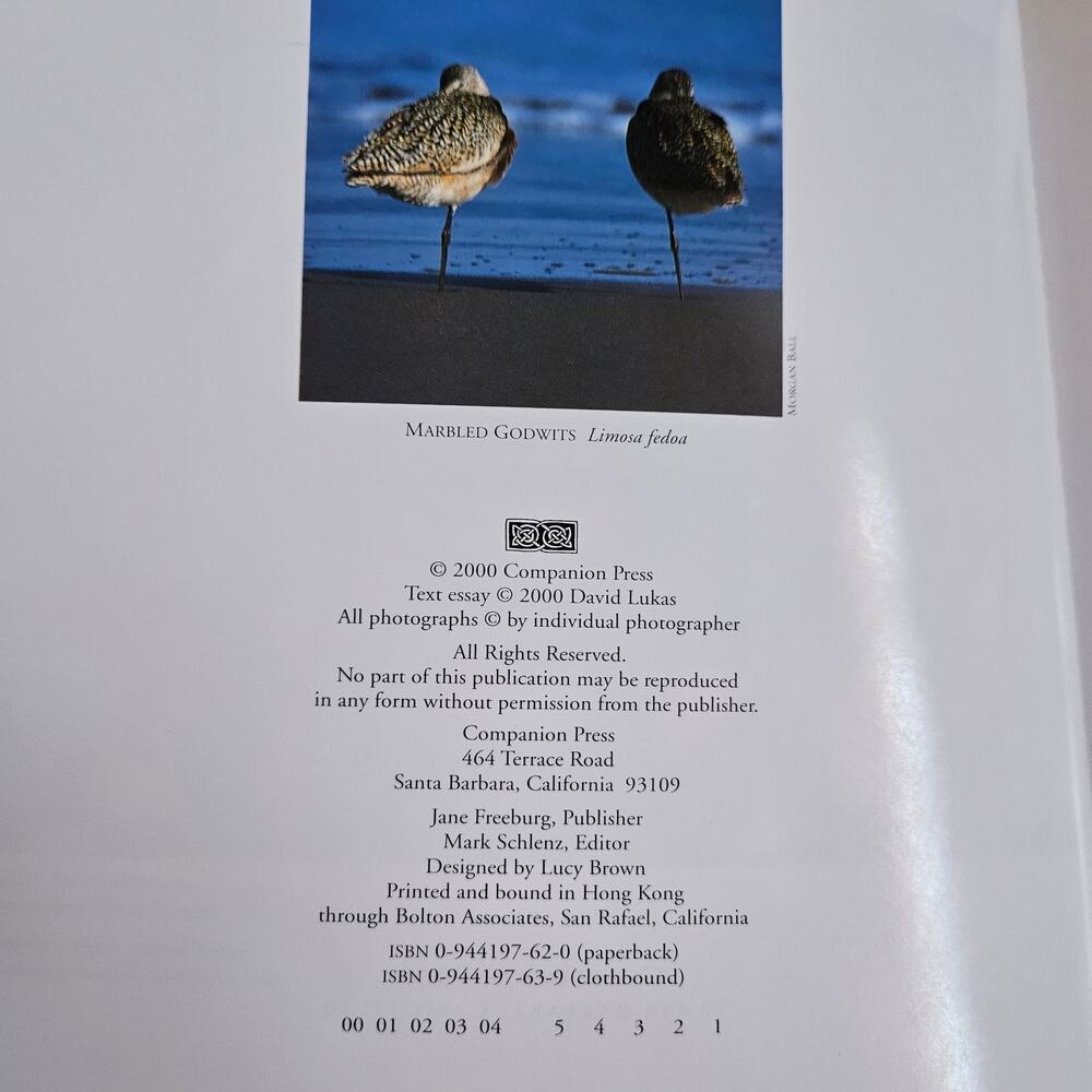 Wild Birds of California By David‎ Luca Paperback - Picture 4 of 8